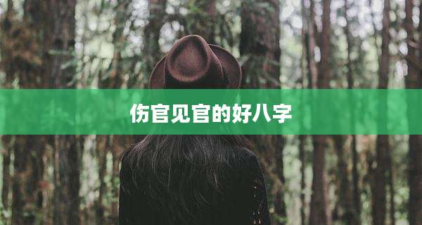 伤官见官的好八字