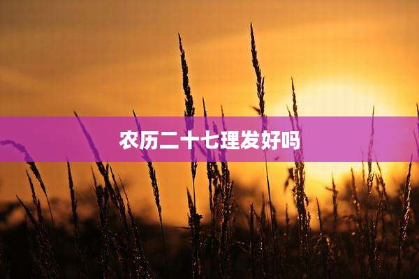 农历二十七理发好吗