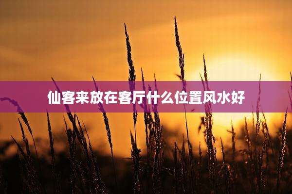 仙客来放在客厅什么位置风水好