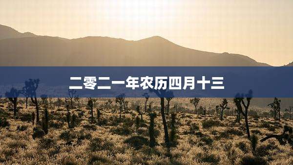 二零二一年农历四月十三