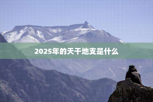 2025年的天干地支是什么