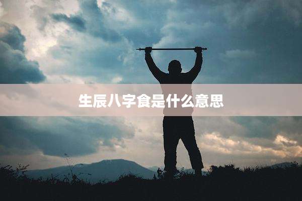 生辰八字食是什么意思