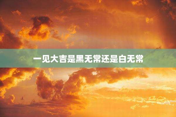 一见大吉是黑无常还是白无常