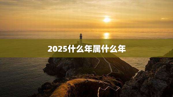 2025什么年属什么年