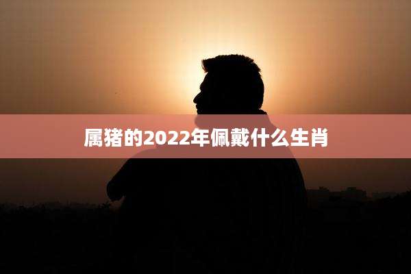 属猪的2022年佩戴什么生肖