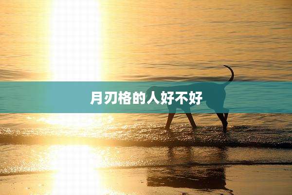 月刃格的人好不好