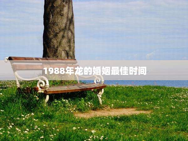 1988年龙的婚姻最佳时间