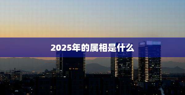 2025年的属相是什么