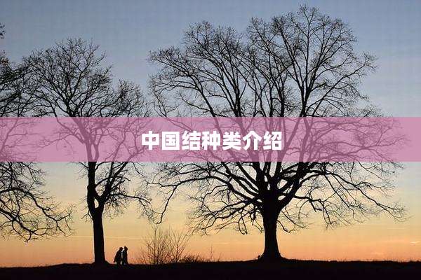 中国结种类介绍