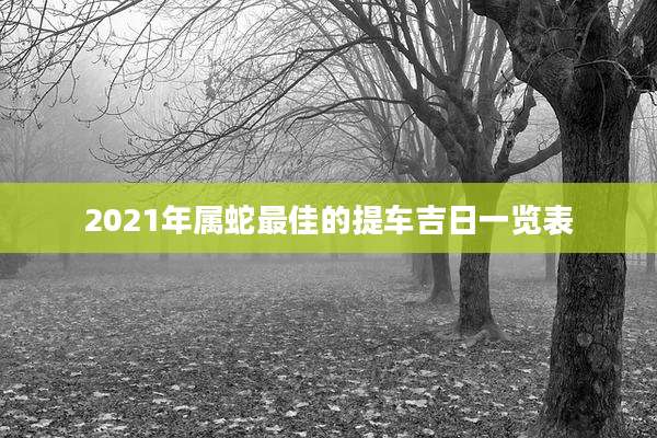 2021年属蛇最佳的提车吉日一览表
