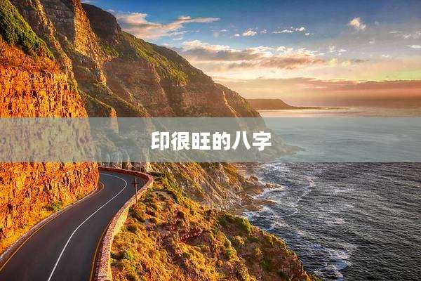 印很旺的八字