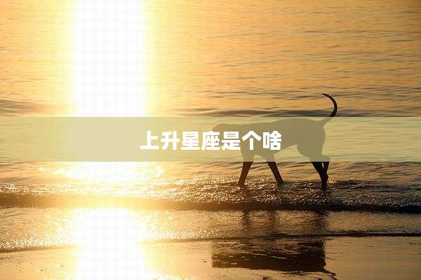 上升星座是个啥