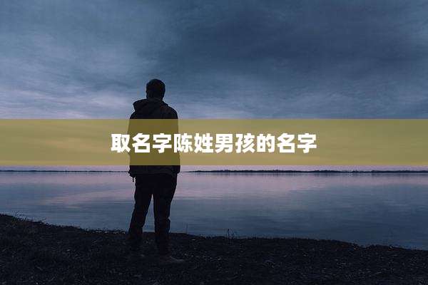 取名字陈姓男孩的名字