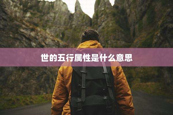 世的五行属性是什么意思