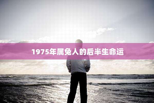 1975年属兔人的后半生命运