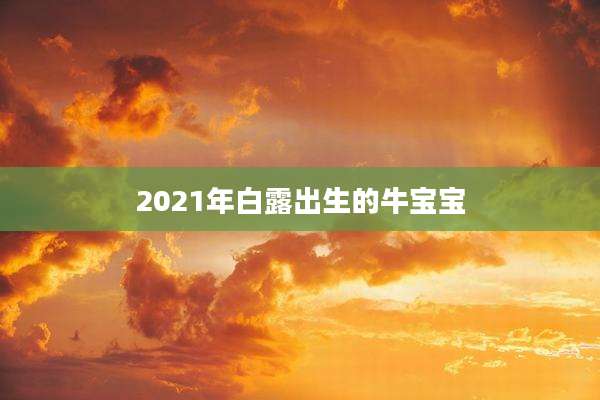 2021年白露出生的牛宝宝