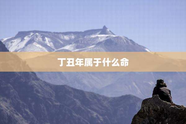 丁丑年属于什么命
