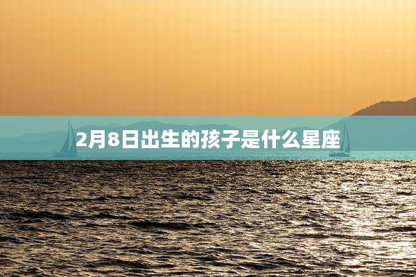 2月8日出生的孩子是什么星座