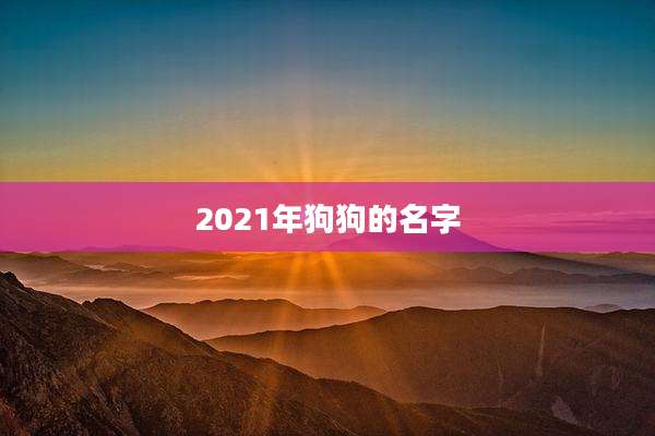 2021年狗狗的名字
