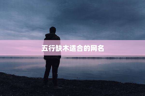 五行缺木适合的网名