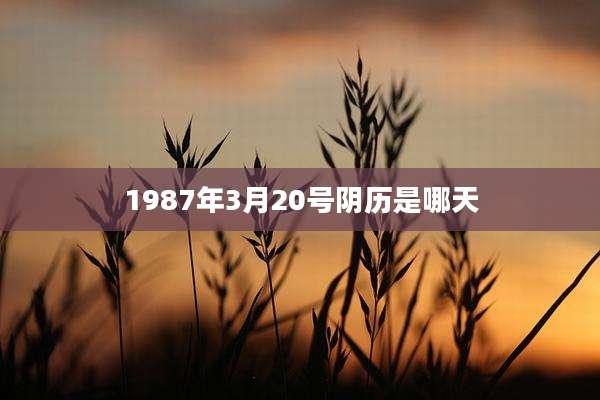 1987年3月20号阴历是哪天