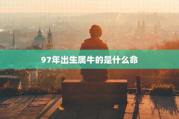 97年出生属牛的是什么命