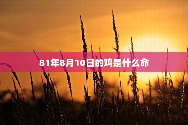 81年8月10日的鸡是什么命