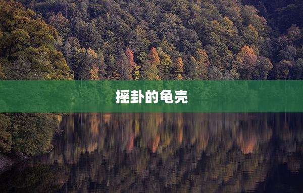 摇卦的龟壳