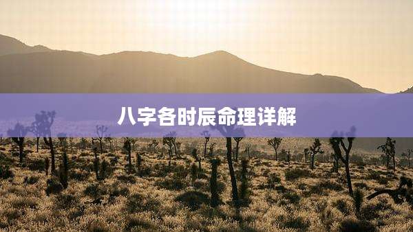 八字各时辰命理详解