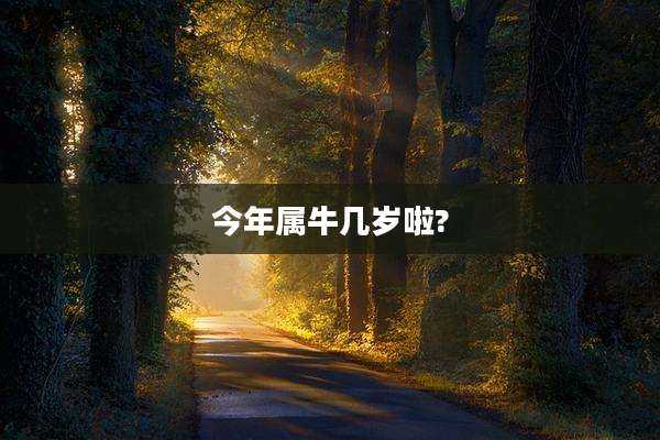今年属牛几岁啦?