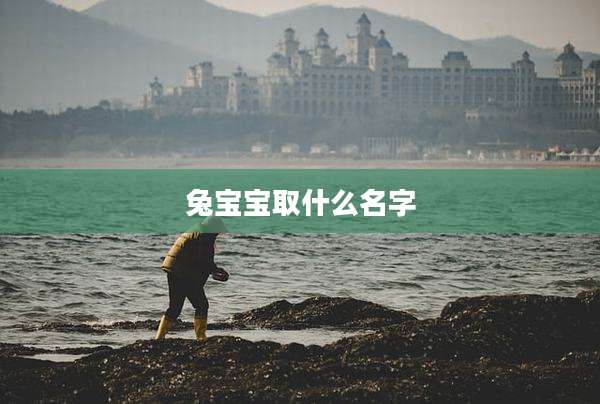 兔宝宝取什么名字