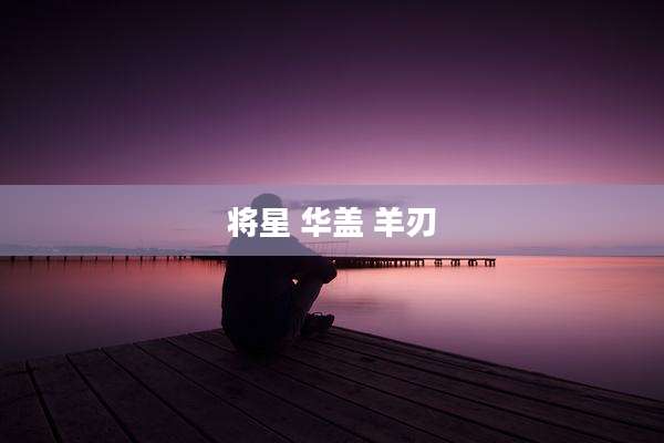 将星 华盖 羊刃