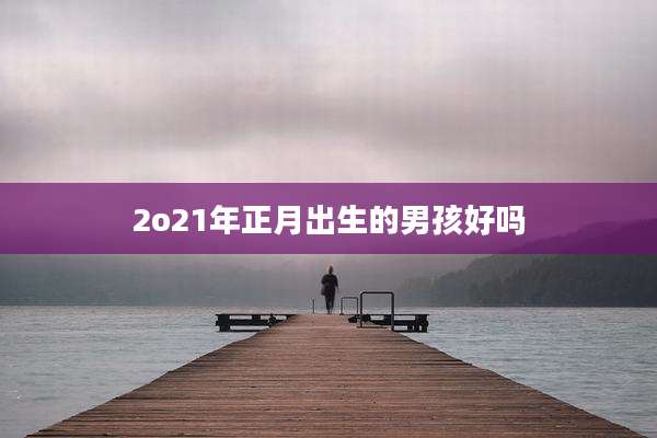 2o21年正月出生的男孩好吗