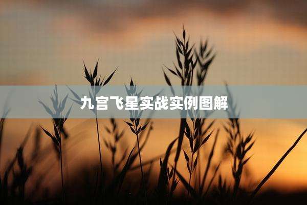 九宫飞星实战实例图解