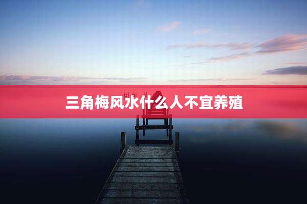 三角梅风水什么人不宜养殖