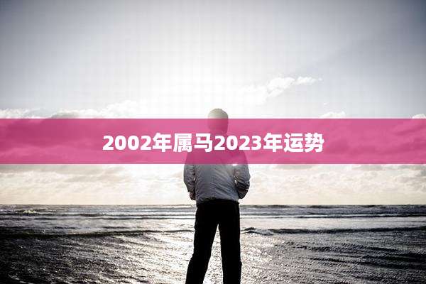 2002年属马2023年运势