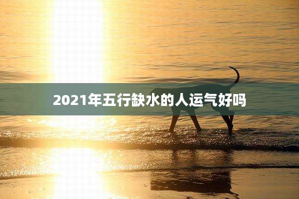 2021年五行缺水的人运气好吗