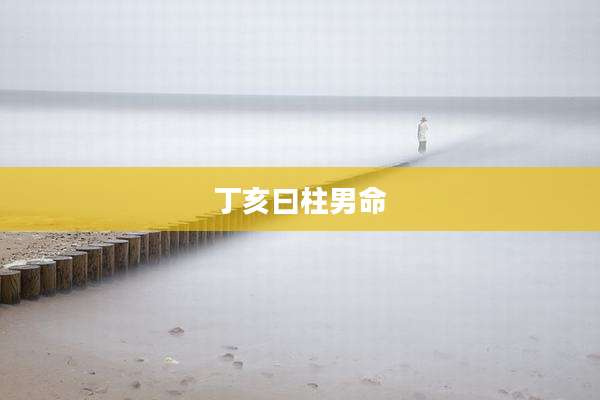 丁亥曰柱男命