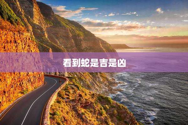 看到蛇是吉是凶