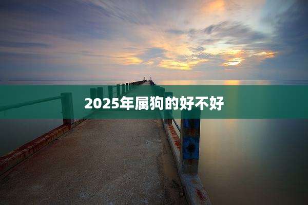 2025年属狗的好不好