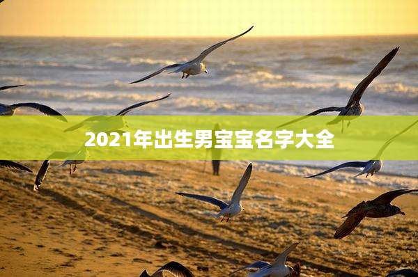 2021年出生男宝宝名字大全