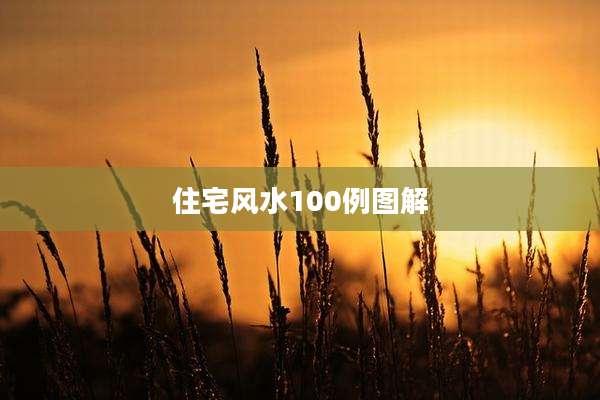 住宅风水100例图解