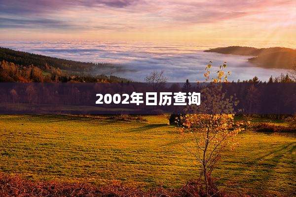2002年日历查询