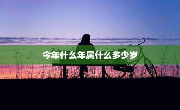 今年什么年属什么多少岁