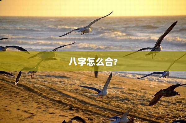 八字怎么合?