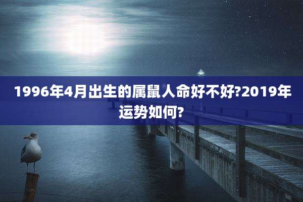 1996年4月出生的属鼠人命好不好?2019年运势如何?