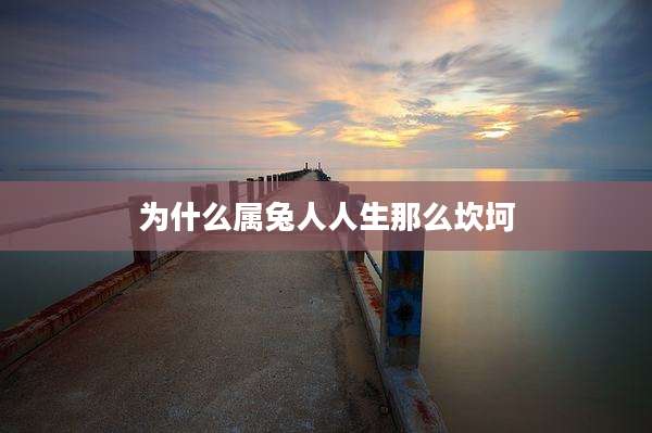 为什么属兔人人生那么坎坷