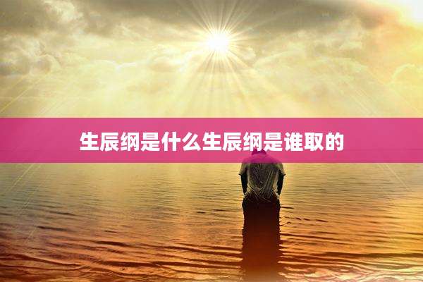 生辰纲是什么生辰纲是谁取的