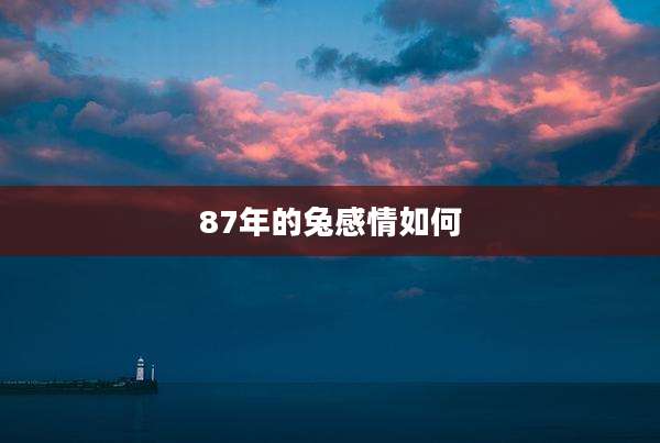 87年的兔感情如何