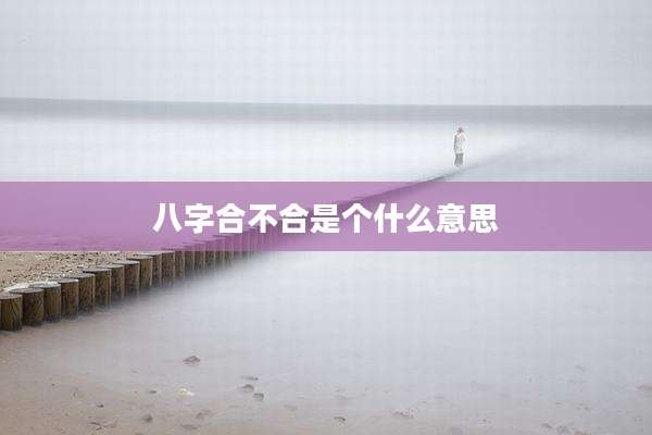 八字合不合是个什么意思